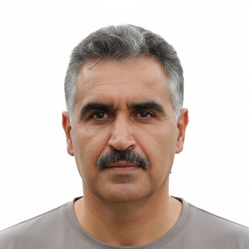 Mehrdad Nazemi