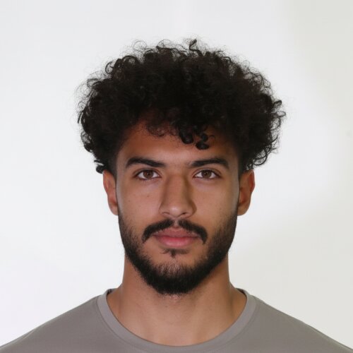 Mohammad Mahdi Aminirad