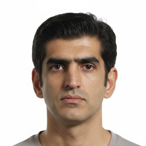 Ali Mirzabeygi
