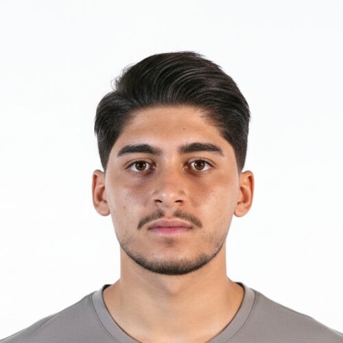 سینا عامری