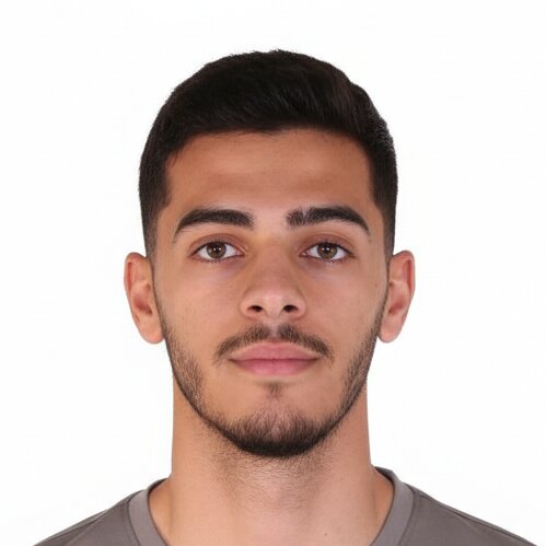 Mohammad Javad Moradi Ahmadi