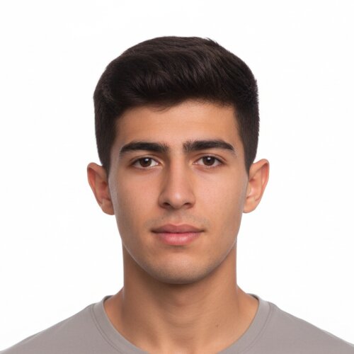 Mohammad Hadi Fayyazi Khalifehloo