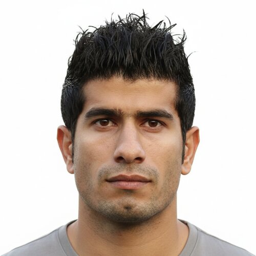 Seyyed Ahmad Mehdizadeh