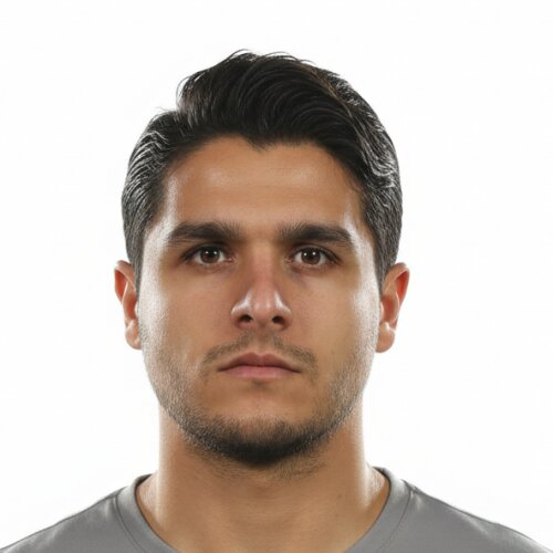 Seyyed Peyman Miri