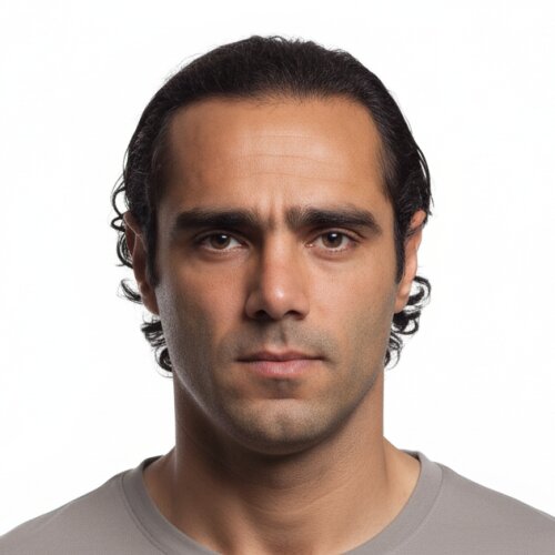 Hamidreza Farzaneh