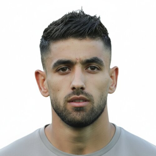 Peyman‌ Babaei‌