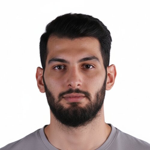 Seyyed Arash Taghavi