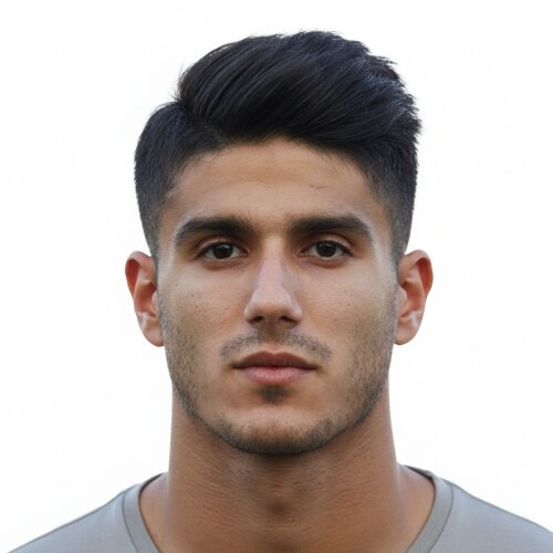 Danial Mahini