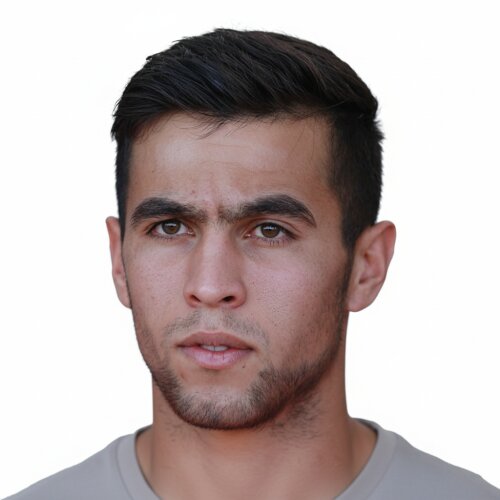 Hamed Hoseinali Zadeh