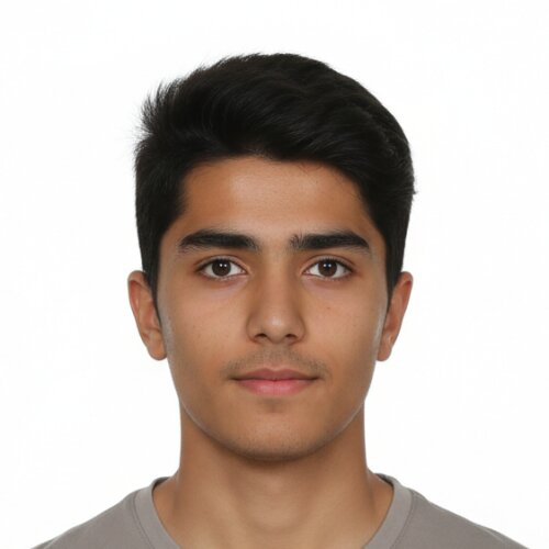 Alireza Ansari