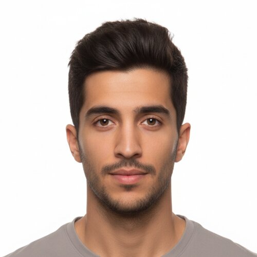 Mehdi Babri
