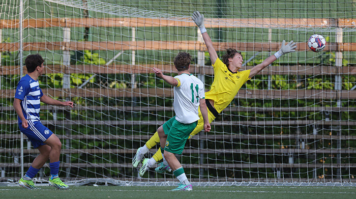 Hammarby IF FF 2 v ۱ IFK Lidingö FK