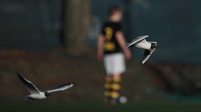 AIK Solna FK 1 2 v 1 Enskede IK