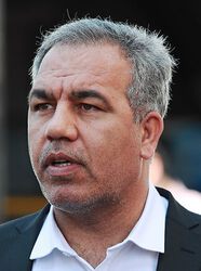 Iraj Arab