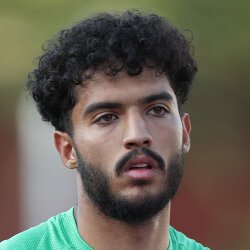 Mohammad Mahdi Aminirad