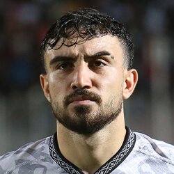 Mehdi Mamizadeh