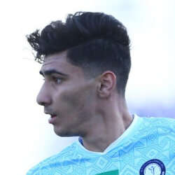 Amir Mohammad Razzaghinia