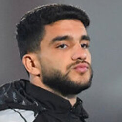 Alireza Ramezani