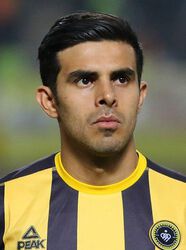 Shahin Saghebi