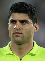 Hamid Hajmalek