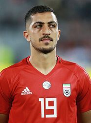 Seyyed Majid Hoseini