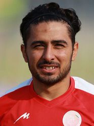 Milad Kamandani