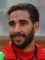 Reza Karamollachaab