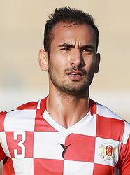 Mohammad Amini