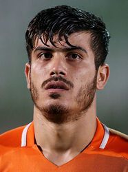 Reza Aliari