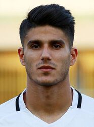 Danial Mahini