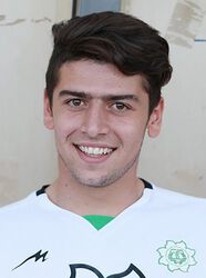 Saeid Mehri