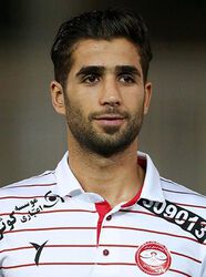 Seyyed Mohammad Miri