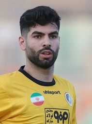 Yasin Salmani