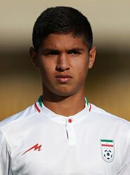 Mohammadreza Shakibkhoo