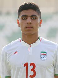 Amir Janipour