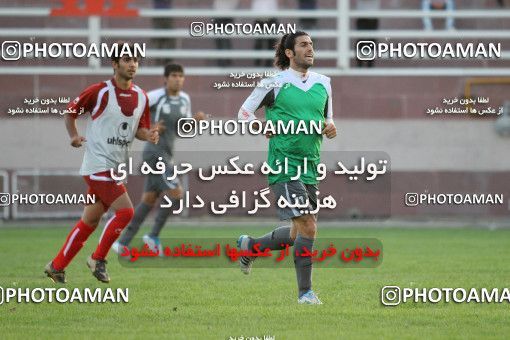 2365-81-0286