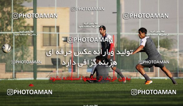 2399-81-0051