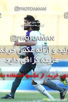 005279---0113