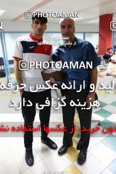 10146-67-0245